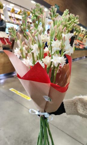 Bambu Floristeria Sevilla (14)
